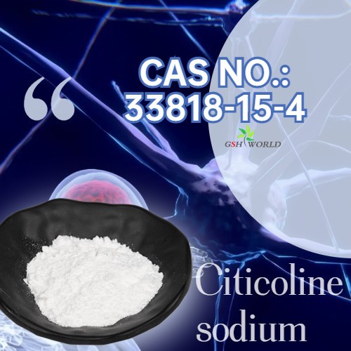 Citicoline Sodium Factory
