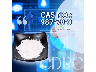 Citicoline bulk powder picture 2