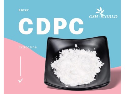 Citicoline bulk powder picture 3