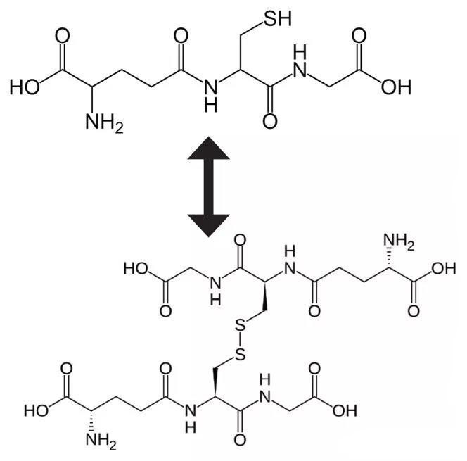 Structural formula of glutathione