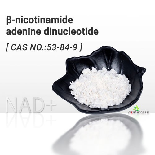 NAD+ (nicotinamide adenine dinucleotide)