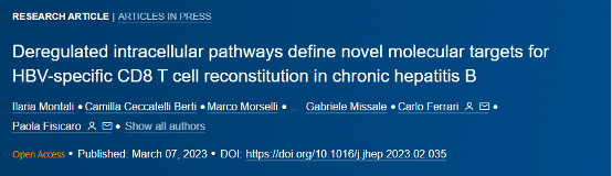 Deregulated intracellular pathways define novel molecular targets for HBV-specific CD8 T cell reco<i></i>nstitution in chro<i></i>nic hepatitis B