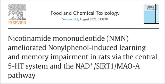 Nicotinamide mo<i></i>nonucleotide(NMN)ameliorated Nonylphenol-induced learningand memory impairment in rats via the central5-HT system and the NAD/SIRT1/MAO-Apathway