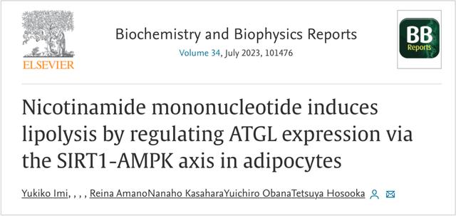 Nicotinamide mo<i></i>nonucleotide induceslipolysis by regulating ATGL ex<i></i>pression viathe SIRT1-AMPK axis in adipocytes
