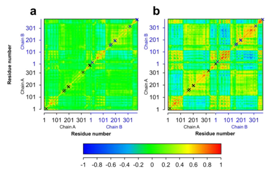 Figure 3. Dynamic cross-correlation between CdFDH wild type and mutant M4