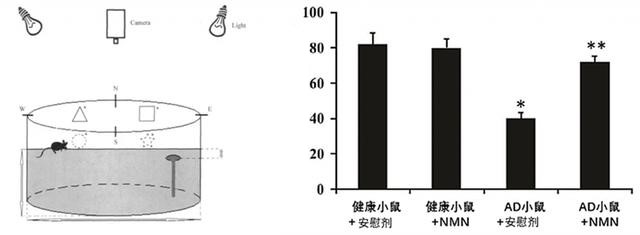 FIG. 1 Installation and experimental results of Morris water maze
