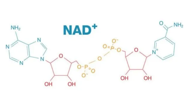 NAD+