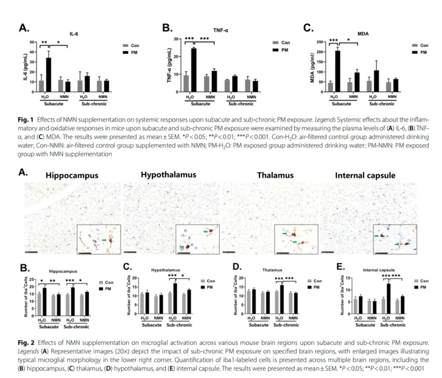 NMN supplementation