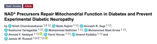 NAD+ Precursors Repair Mitocho<i></i>ndrial Function in Diabetes and Prevent Experimental Diabetic Neuropathy