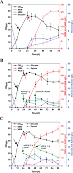 NMN is produced by batch feeding in a 2l bioreactor