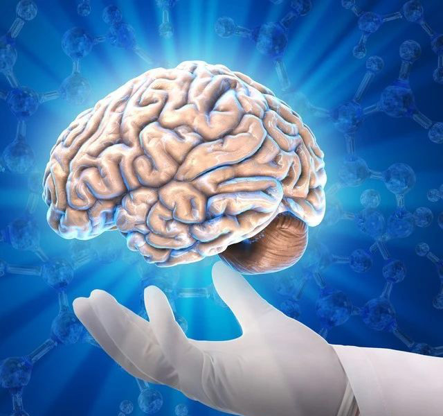 Citicoline can improve brain circulation
