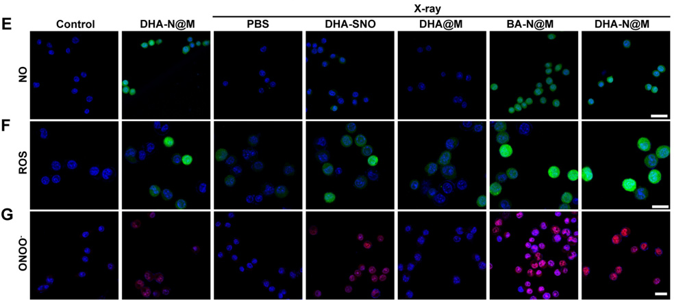 Glutathione detection contributes to research on lung cancer treatment
