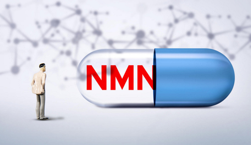 Track latest research trends of NMN