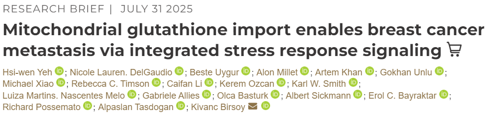 infusion of mitochondrial glutathione promotes breast cancer metastasis through integrated stress re