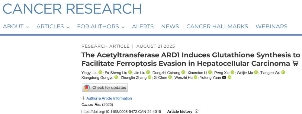 Glutathione synthesis promotes iron apoptosis in hepatocellular carcinoma