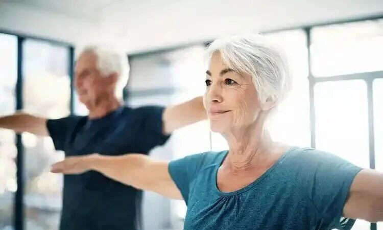 five key functions of NMN